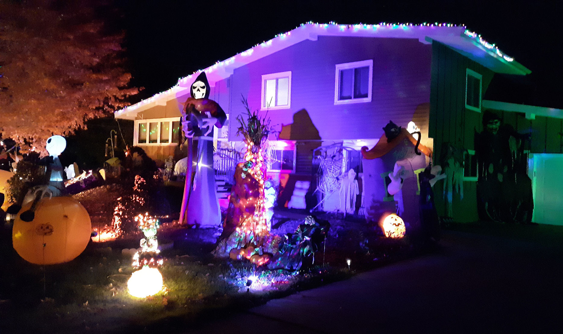 Halloween Houses